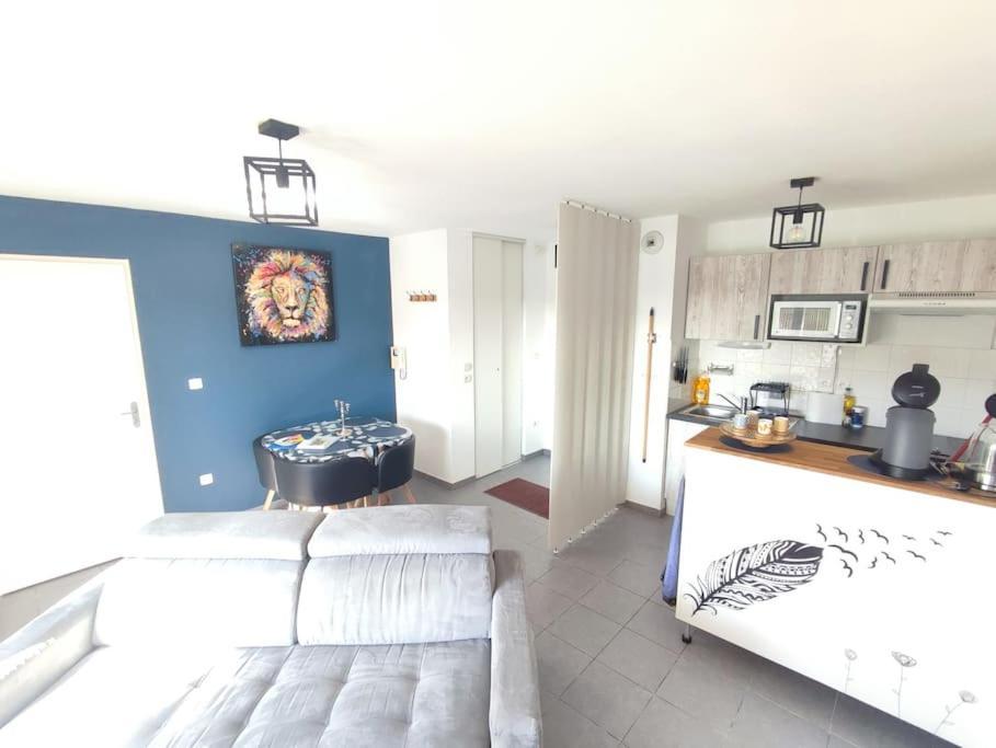 T2 Avec Jardin Proche Aeroport, Airbus, Meet Apartment Daux Ngoại thất bức ảnh